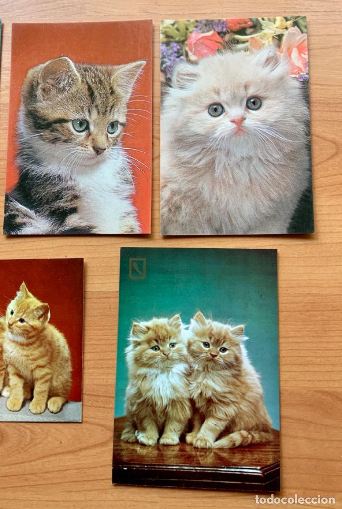 Postales: LOTE DE 9 POSTALES DE GATOS - Foto 3