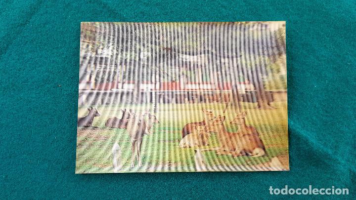 Postais: POSTAL 3D ELABORADA CON PLASTICOS Y PAPEL (1960s)