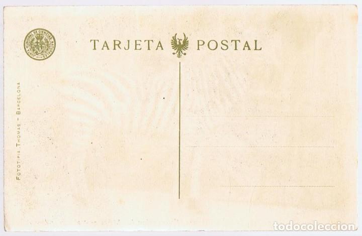 Postales: POSTAL ZEBRA AFRICA CENTRAL - Foto 2