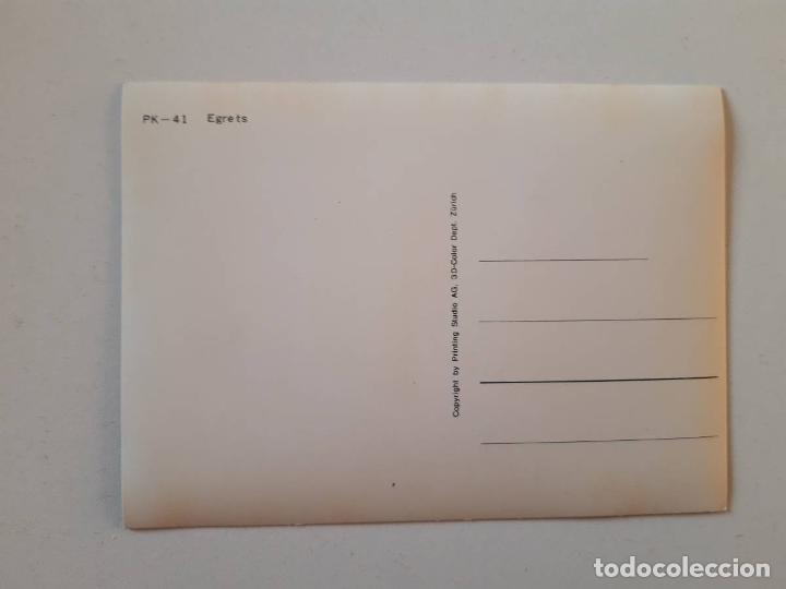 Postales: Egrets, Postal 3d 3 dimensiones 0159 - Foto 2