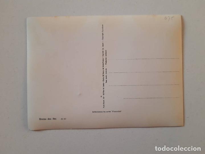 Postales: Oiseau des Iles, Postal 3d 3 dimensiones 0158 - Foto 2