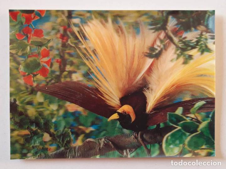 Postales: Oiseau des Iles, Postal 3d 3 dimensiones 0158 - Foto 1