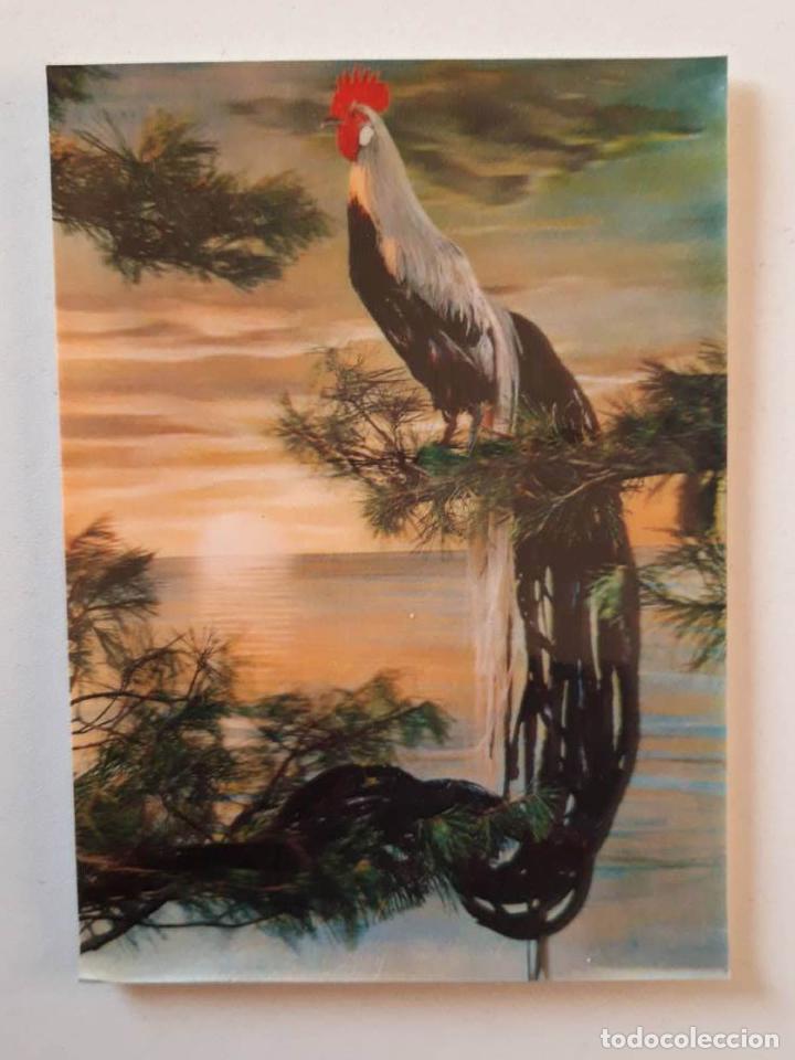 Postales: Gallo, Postal 3d 3 dimensiones 0165 - Foto 1