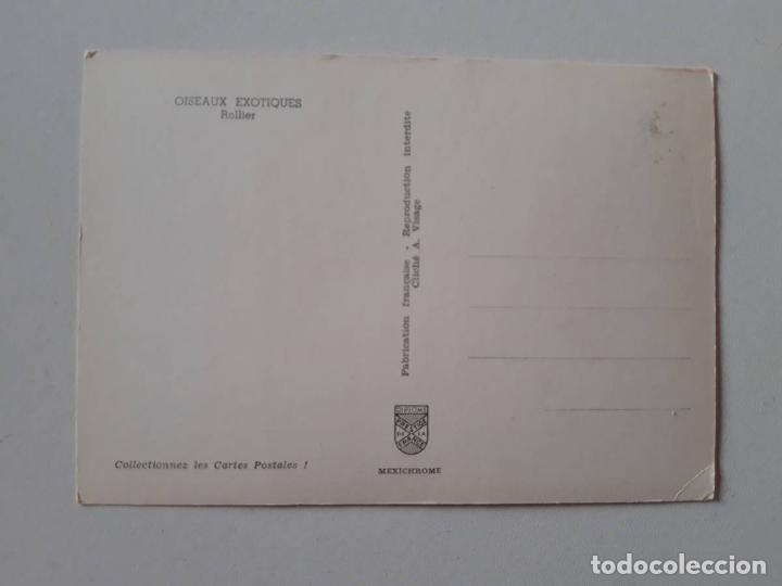 Postales: Rollier, Oiseaux exotiques, Postal  0176 - Foto 2