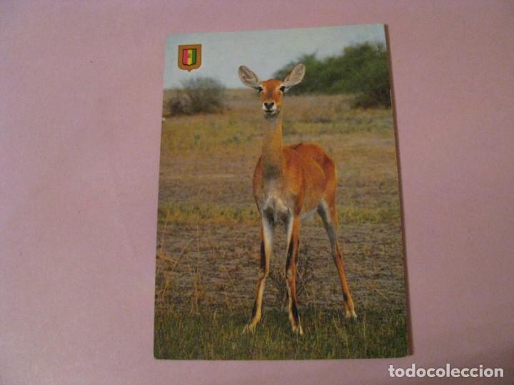 Postcards: RUANDA. RWANDA. IMPAL PARC AKAGERA. ED. ESCUDO DE ORO. ESCRITA.