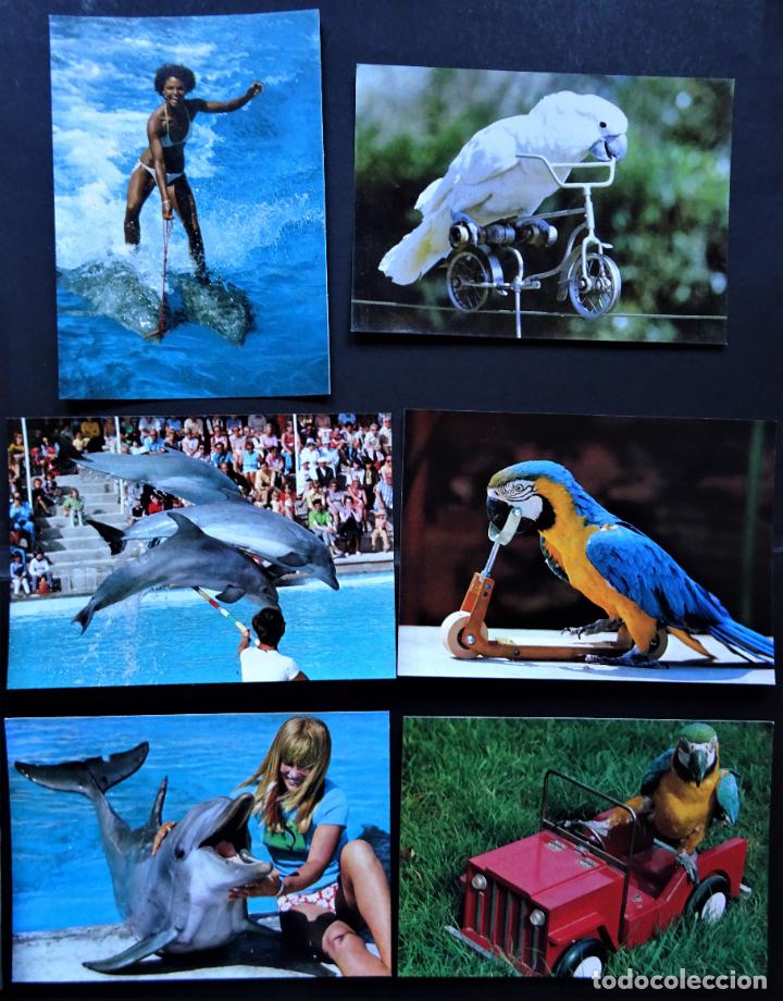Postales: 6 postales de Marineland sin circular - Foto 1