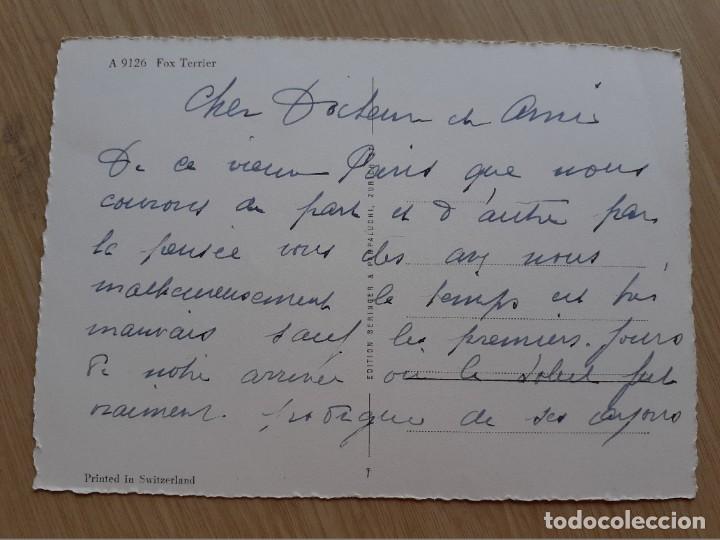 Postales: TARJETA POSTAL - PERRO FOX TERRIER - Foto 2