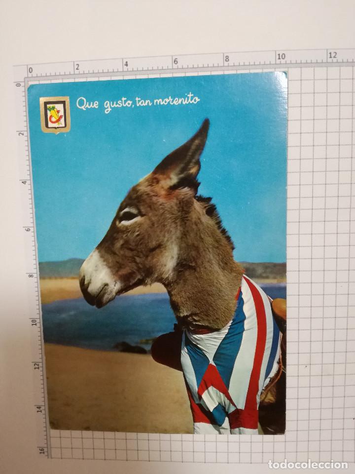 Postales: POSTAL N&ordm; 10 - ANIMALES COMICOS - ED. FISA 1962