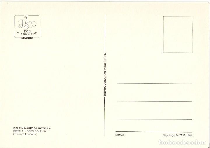 Postales: POSTAL ZOO DE MADRID - DELFIN - Foto 2