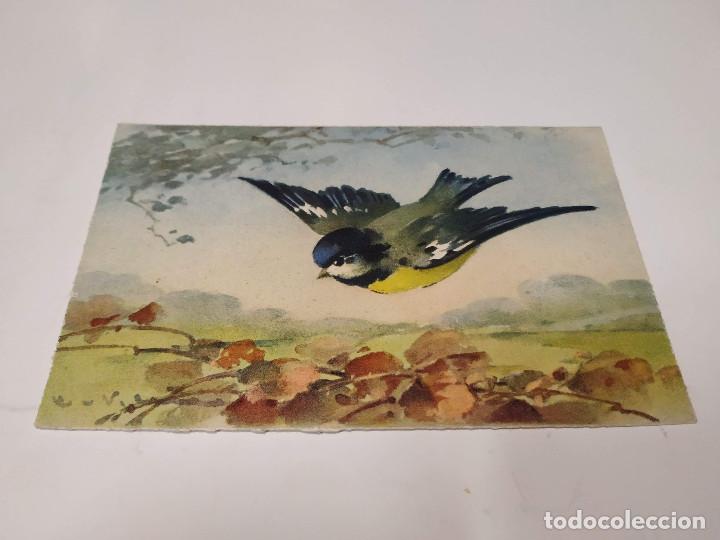Postales: POSTAL GOLONDRINA - SUIZA - Foto 1