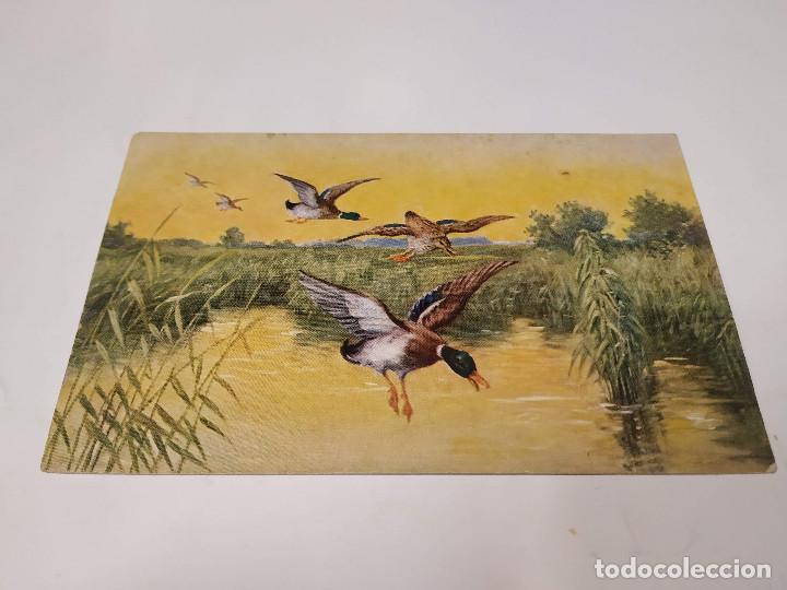 Postales: POSTAL PATOS ------- - Foto 1