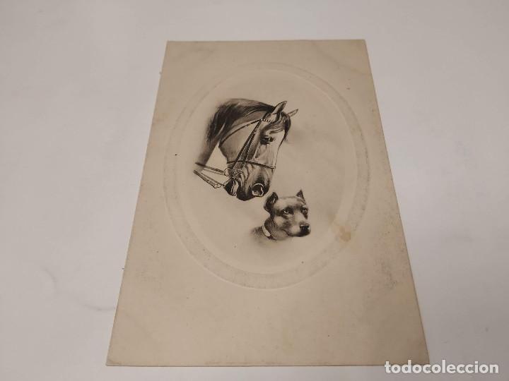 Postales: POSTAL CABALLO Y PERRO - Foto 1