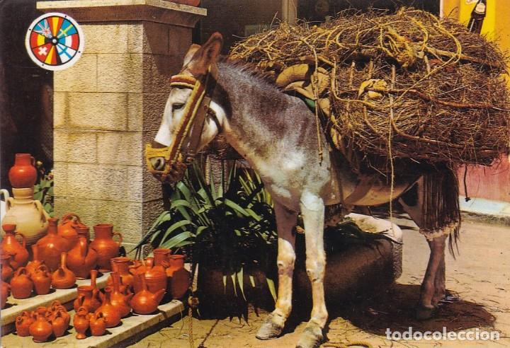 Postales: POSTAL DEL BURRO BOTIJERO - Foto 1