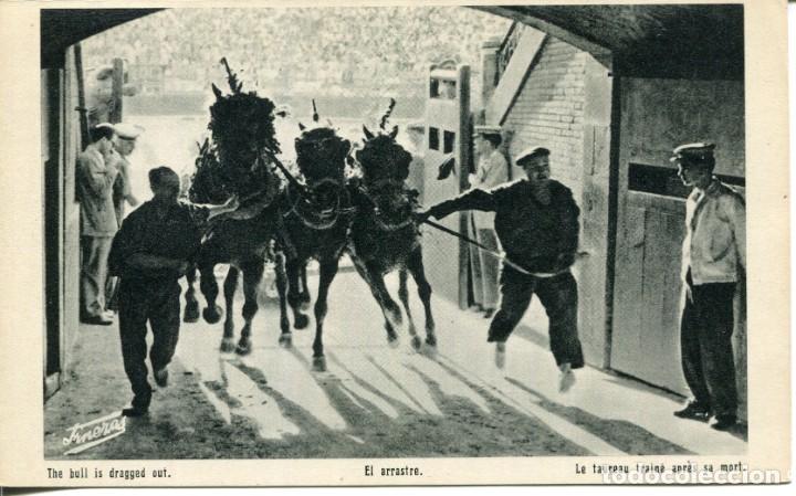 Postales: TOROS-EL ARRASTRE- - Foto 1
