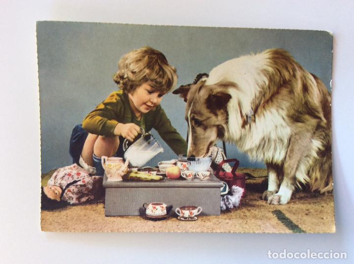 Postales: Postal ni&ntilde;a con perro - Foto 1