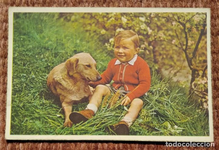 Postcards: NI&Ntilde;O Y PERRO