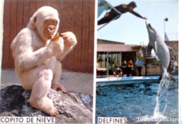 Postcards: Copito de Nieve/Delfines. Nueva. Color