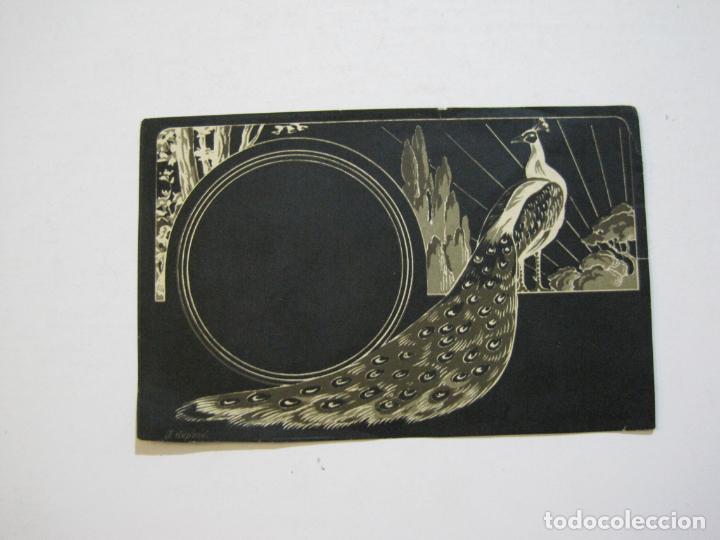 Postcards: PAVO REAL-EFECTO CON LA LUZ-TARJETA ANTIGUA-VER FOTOS-(73.721)