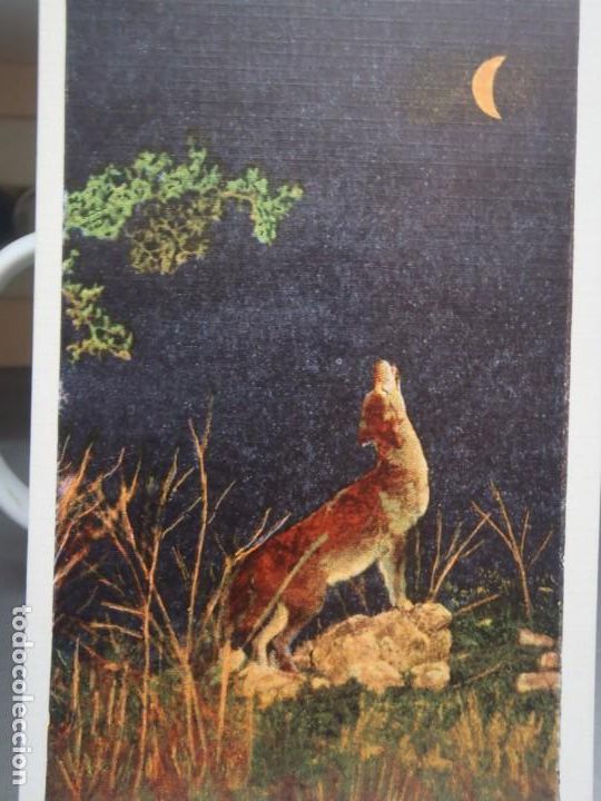 Postcards: THE CALL OF THE WILD - COYOTE BARKING AT THE MOON