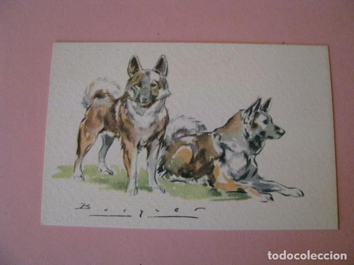 Postales: PERROS. IL. BECQUER. ED. ARCHIVO DE ARTE. N 11.