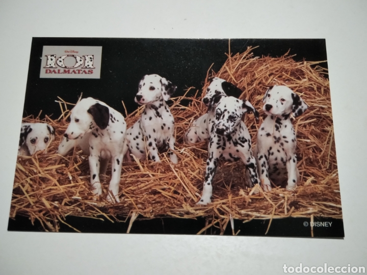 Postcards: Postal 101 d&aacute;lmatas