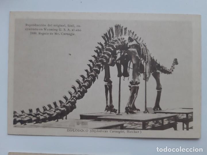 Postales: ANTIGUAS 9 POSTALES TEMATICA DE ANIMALES