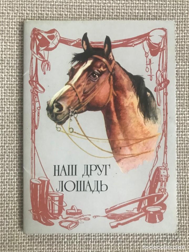 Postcards: CARPETILLA CON 16 POSTALES FICHA DE CABALLOS EN RUSO VINTAGE (RUSIA UNION SOVIETICA) POSTAL