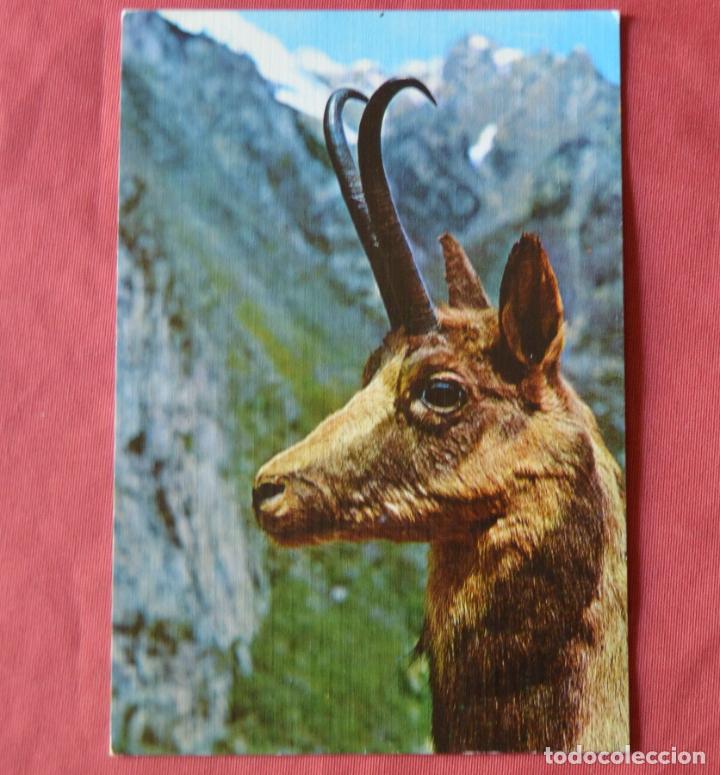 Postales: REBECO - EDICIONES SICILIA - Foto 1