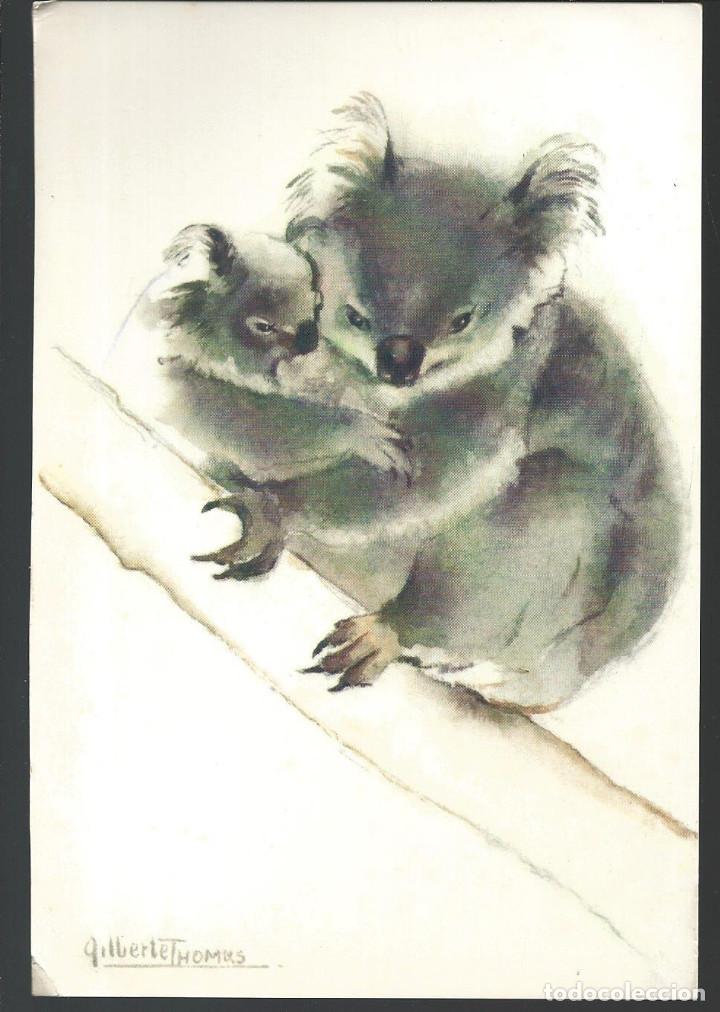 Postales: POSTAL KOALA Y SU CRIA - A&Ntilde;O 1989 - Foto 1