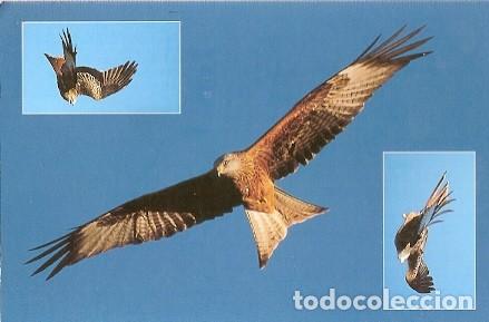 Postales: Inglaterra & Marcofilia, Cometa Roja, Devon 2002 (68643) - Foto 1