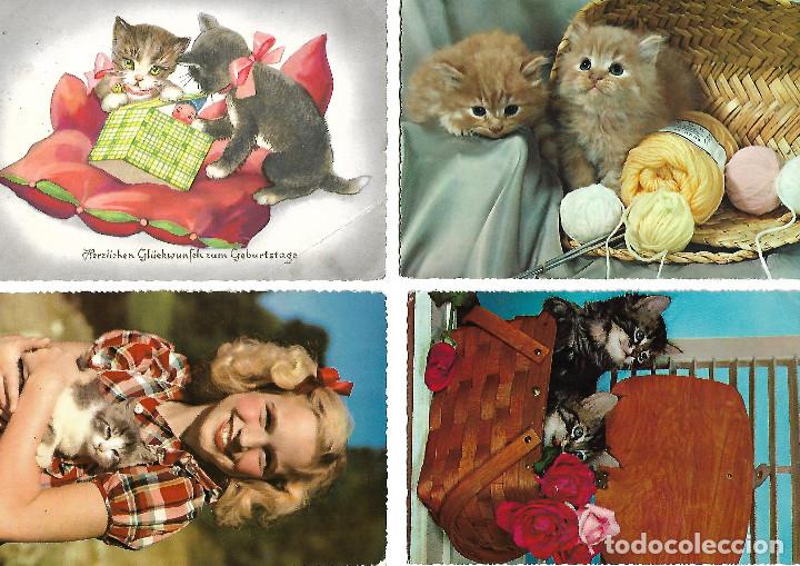 Postkarten: ANTIGUAS POSTALES DE LOS A&Ntilde;OS 60 CIRCULADAS DEL TEMA GATOS