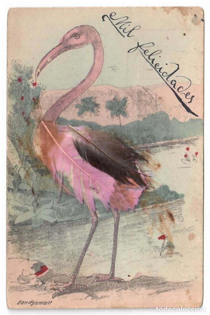 Postales: FLAMENCO ROSADO &diams; 1912 - Foto 1