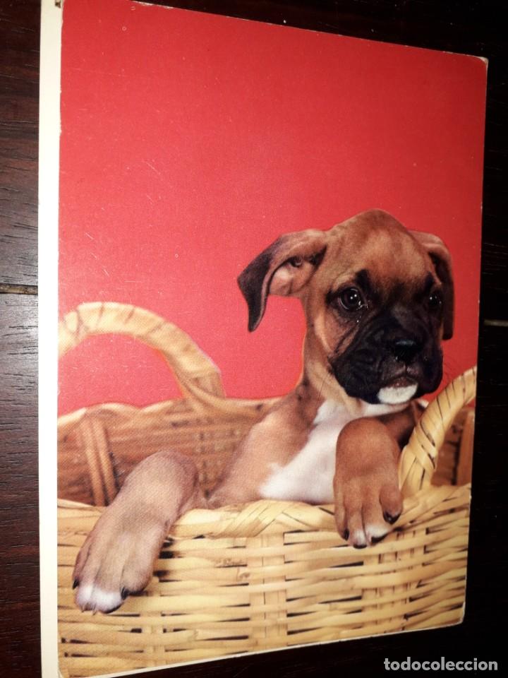 Postcards: N&ordm; 39397 POSTAL PERRO EDITADA EN MILANO ITALIA