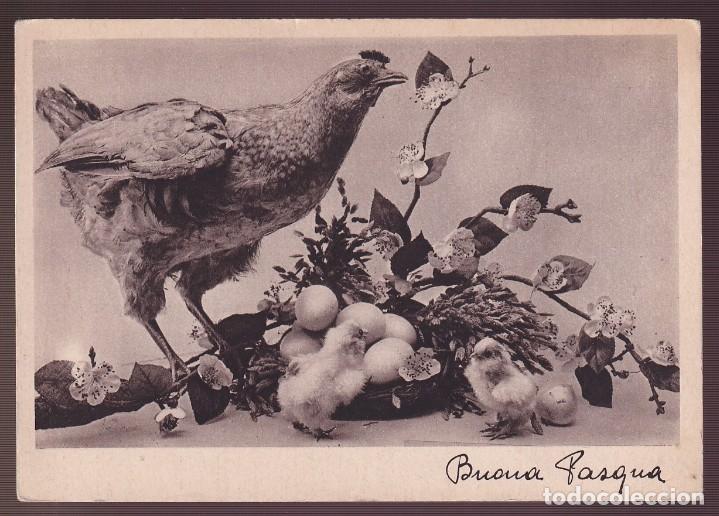 Postcards: *Buona Pasqua* Nueva.