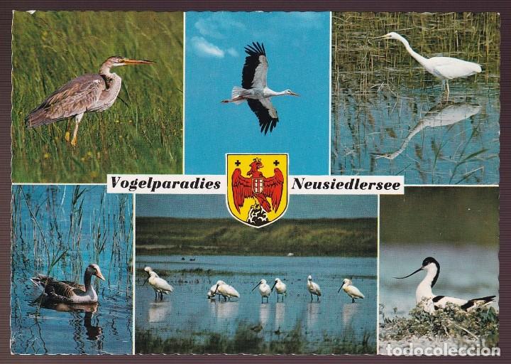 Postcards: Austria. Burgenland. *Vogelparadies...* Nueva.