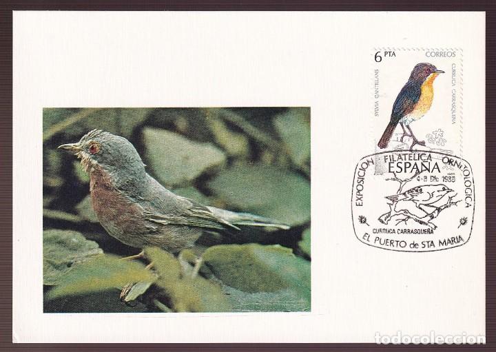 Postcards: *Sylvia cantillans* TP con Matasellos especial.