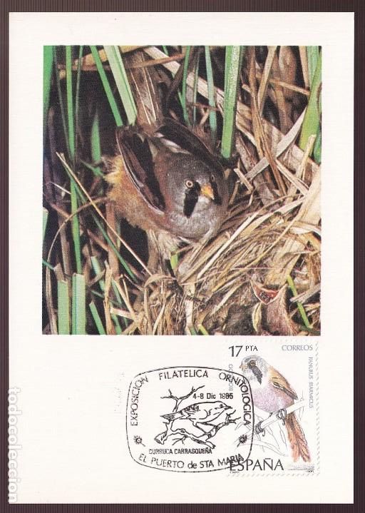 Postcards: *Panurus biarmicus* TP con Matasellos especial.