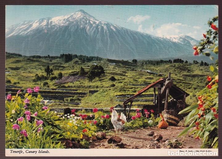 Postales: Tenerife. Circulada 1979. - Foto 1