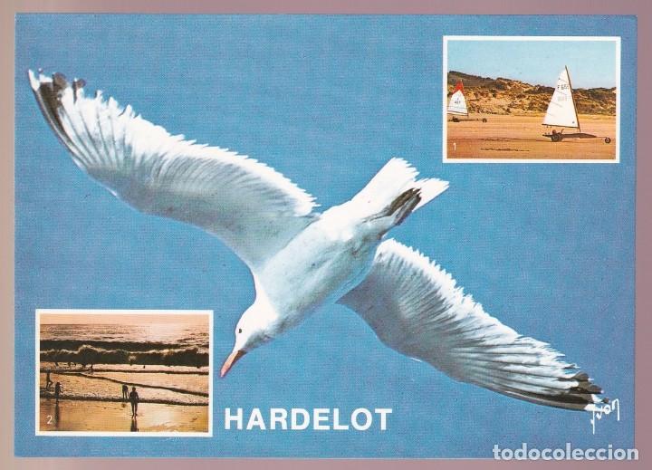 Postais: Francia-62- Hardelot. Nueva.
