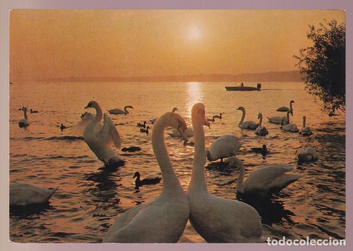 Postais: Alemania. *Abendstimmung* Circulada 1971.