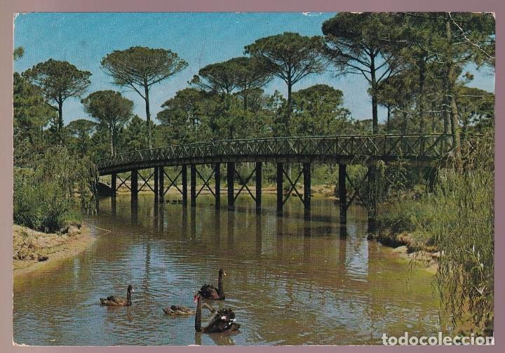 Postais: Italia. Cervia. *Parco Naturale* Circulada 1976.