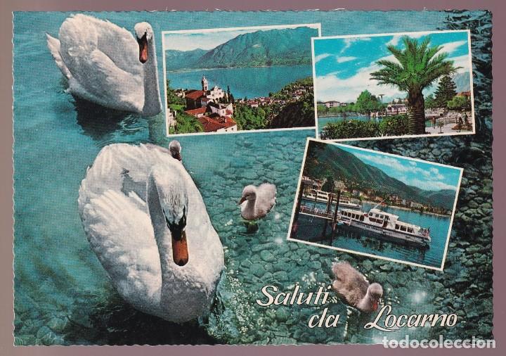 Postais: Suiza. *Saluti da Locarno* Nueva.