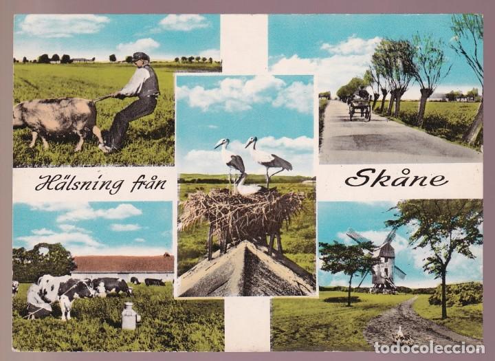Postkarten: Suecia. *H&auml;lsning fran Skane* Nueva.