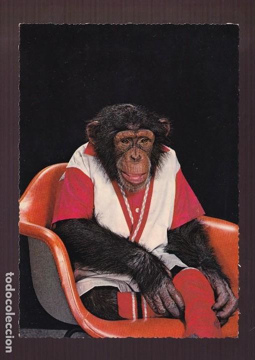 Postkarten: Ed. Kr&uuml;ger serie n&ordm; 900-71. Edici&oacute;n alemana. Nueva.