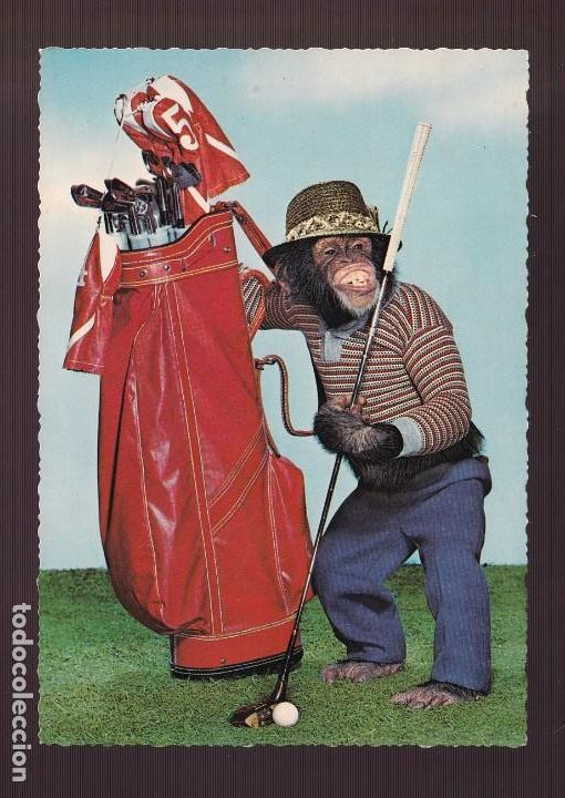 Postkarten: Ed. Kr&uuml;ger serie n&ordm; 900-71. Edici&oacute;n alemana. Nueva.