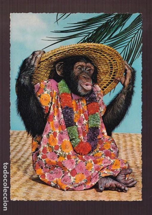 Postkarten: Ed. Kr&uuml;ger serie n&ordm; 900-71. Edici&oacute;n alemana. Nueva.
