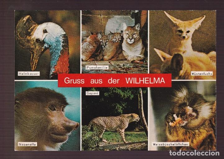 Postcards: *Gruss aus der Wilhelma* Edici&oacute;n alemana. Nueva.