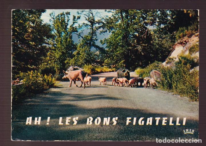 Postcards: Francia-94- Corse. *Ah! Les bons figatelli* Ed. La Cigogne n&ordm; 20-000-103. Nueva.