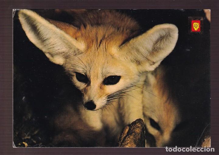 Postcards: Ed. Fisa, Animales Salvajes n&ordm; 12. Nueva.