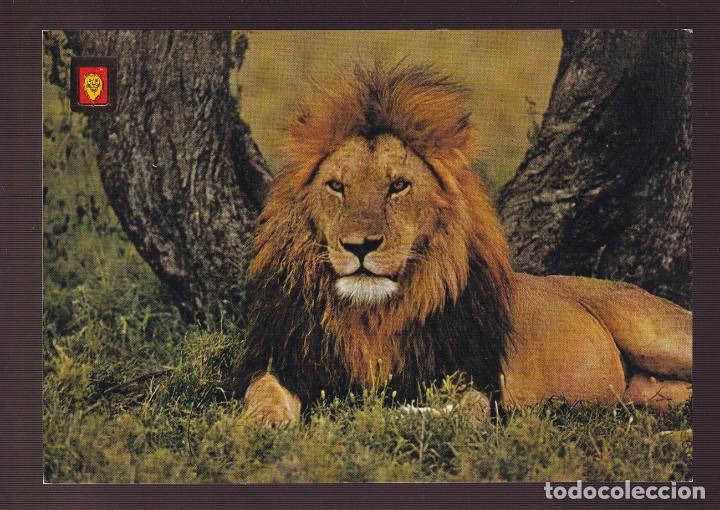 Postcards: Ed. Fisa, Animales Salvajes n&ordm; 3. Nueva.